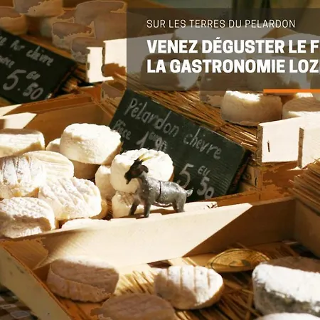 Dom wakacyjny Alberguiere - Piscine Chauffee - Plancha - Barbecue Sainte-Croix-Vallee-Francaise