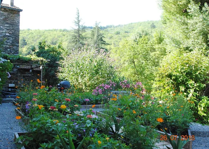 Alberguiere - Piscine Chauffee - Plancha - Barbecue *